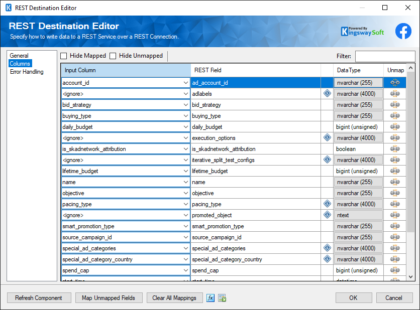 SSIS REST Facebook Business Destination - Columns